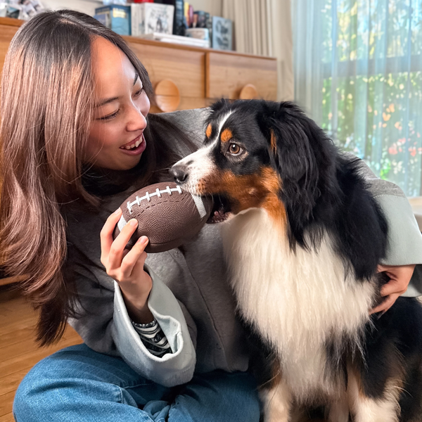 How Long Does Collagen Take to Work for Dogs? What Owners Should Expect