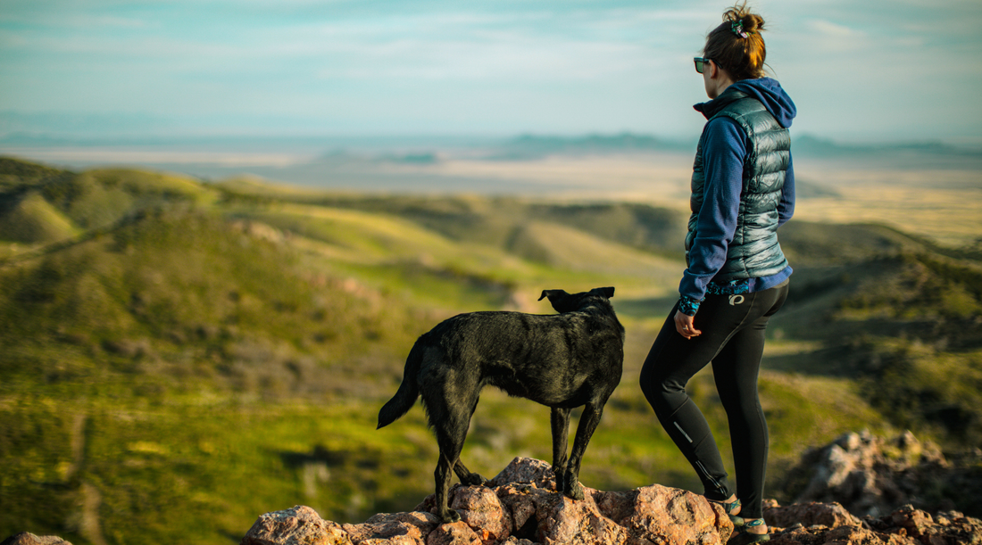 Best Hip and Joint Supplements for Dogs in Australia: Top Picks Ranked