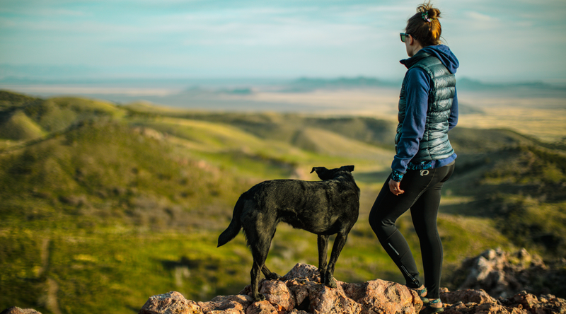 Best Hip and Joint Supplements for Dogs in Australia: Top Picks Ranked