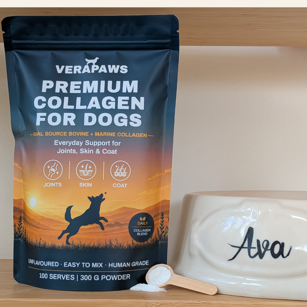 Can Dogs Take Human Collagen Powder? Human Grade vs Human Formulated Explained