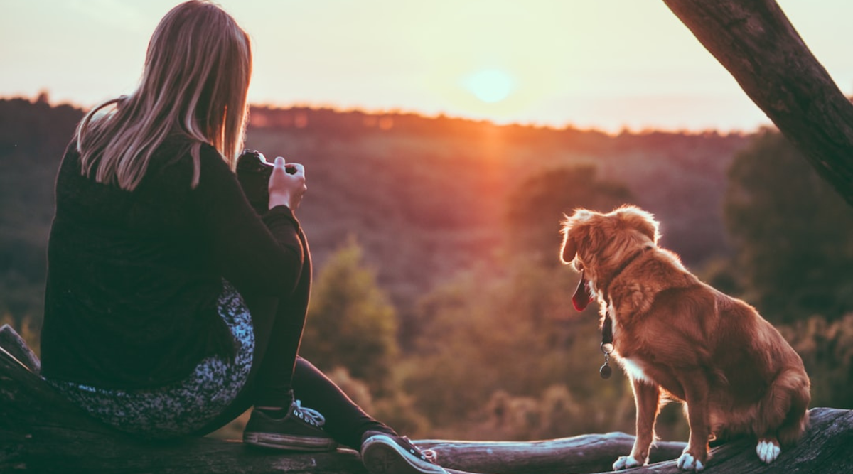 A woman and her dog looking into the sunset from their tent. 