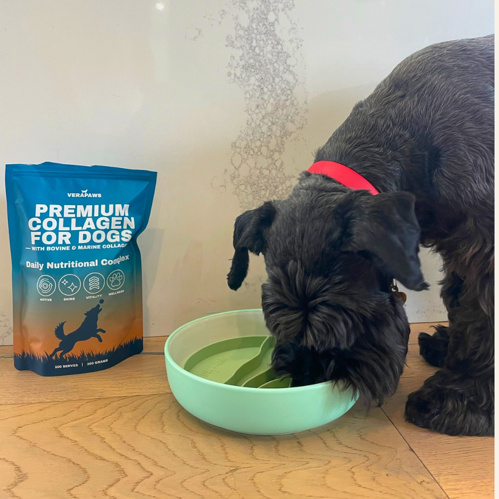 VeraPaws Collagen For Dogs powder pouch
