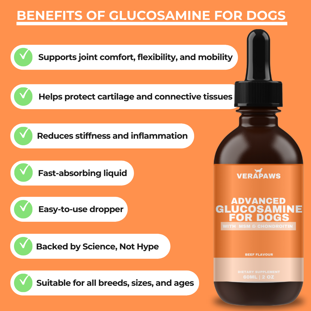 Glucosamine For Dogs