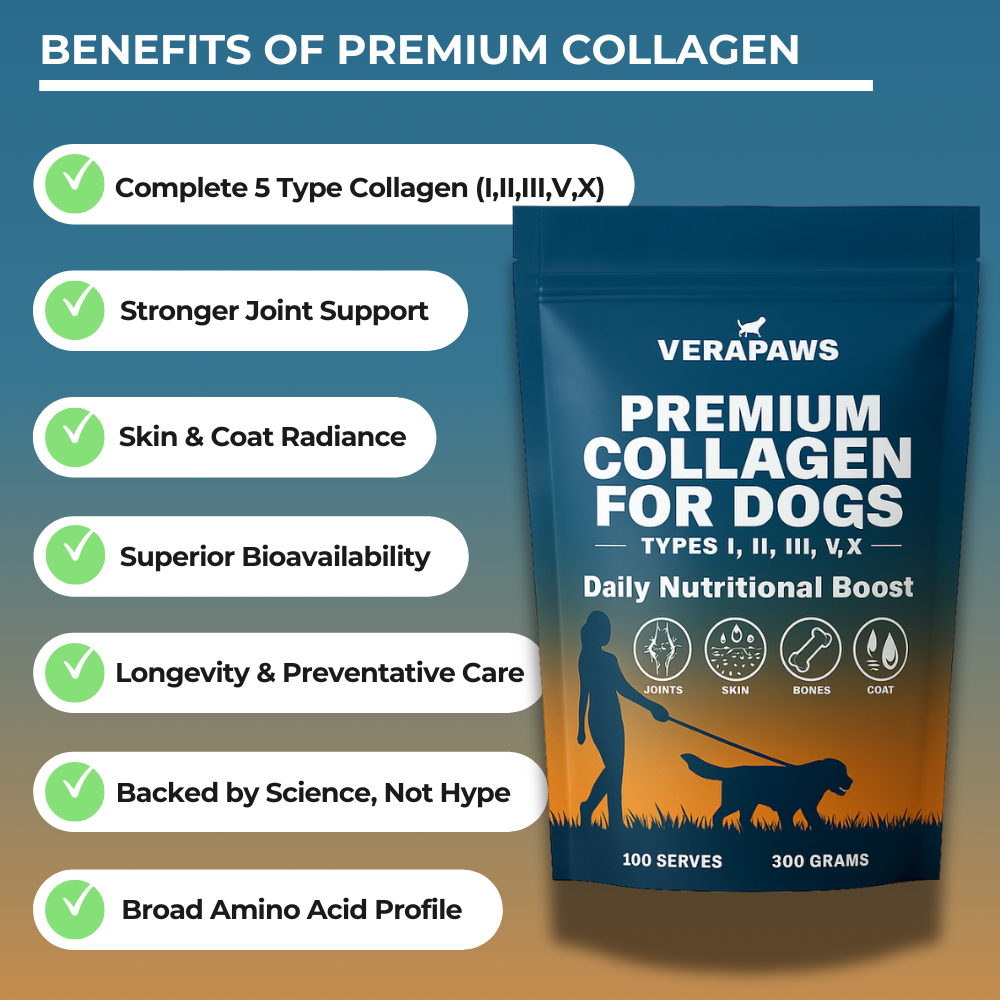 Benefits of Verapaws Premium Collagen For Dogs - Tyoe I,II,III,X,V
