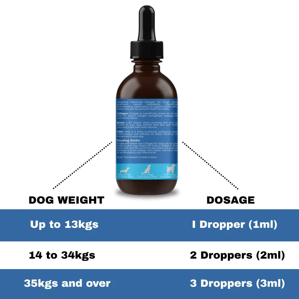 Collagen for Dogs Recommended Dosage