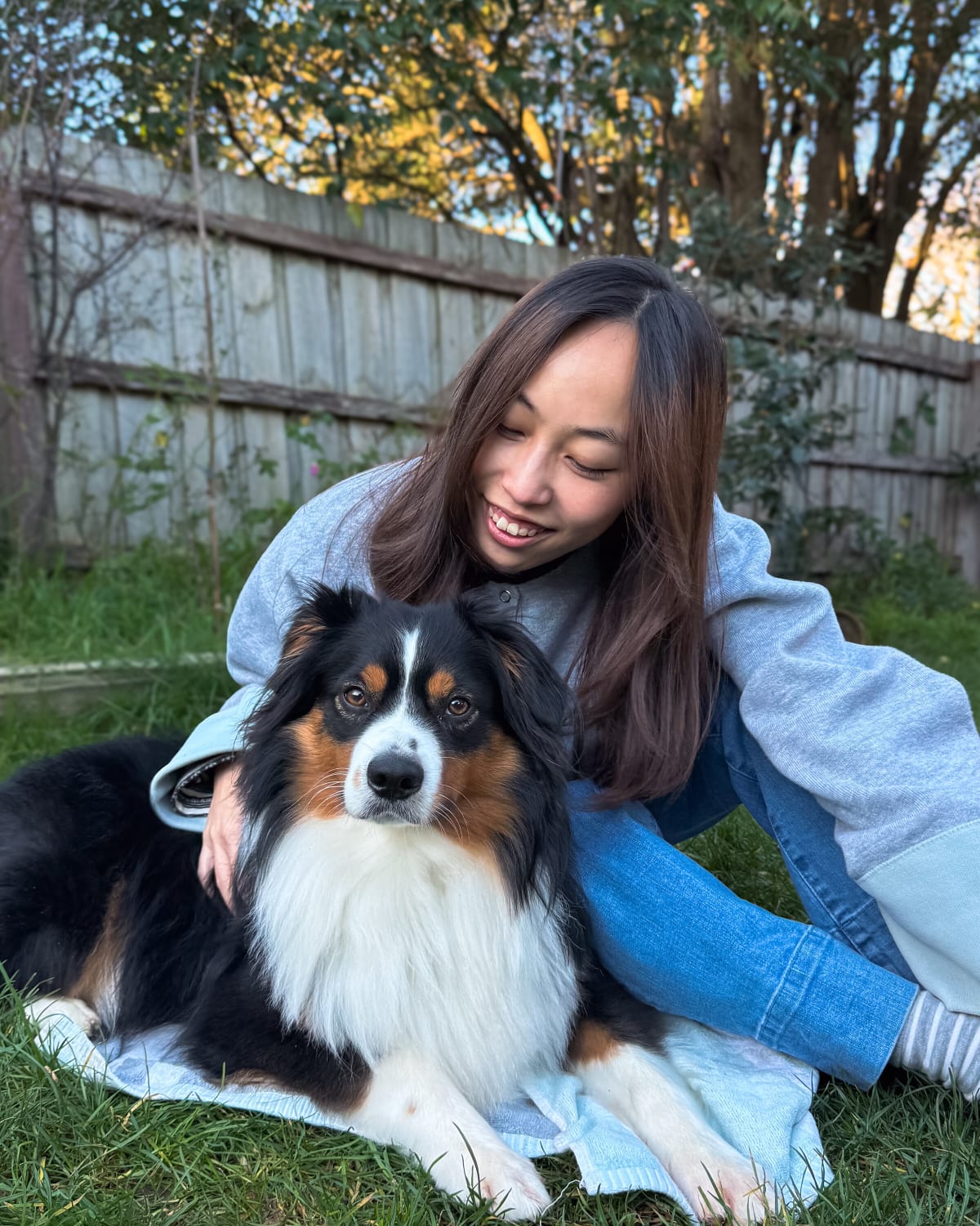 Dog and woman sitting on Grass.