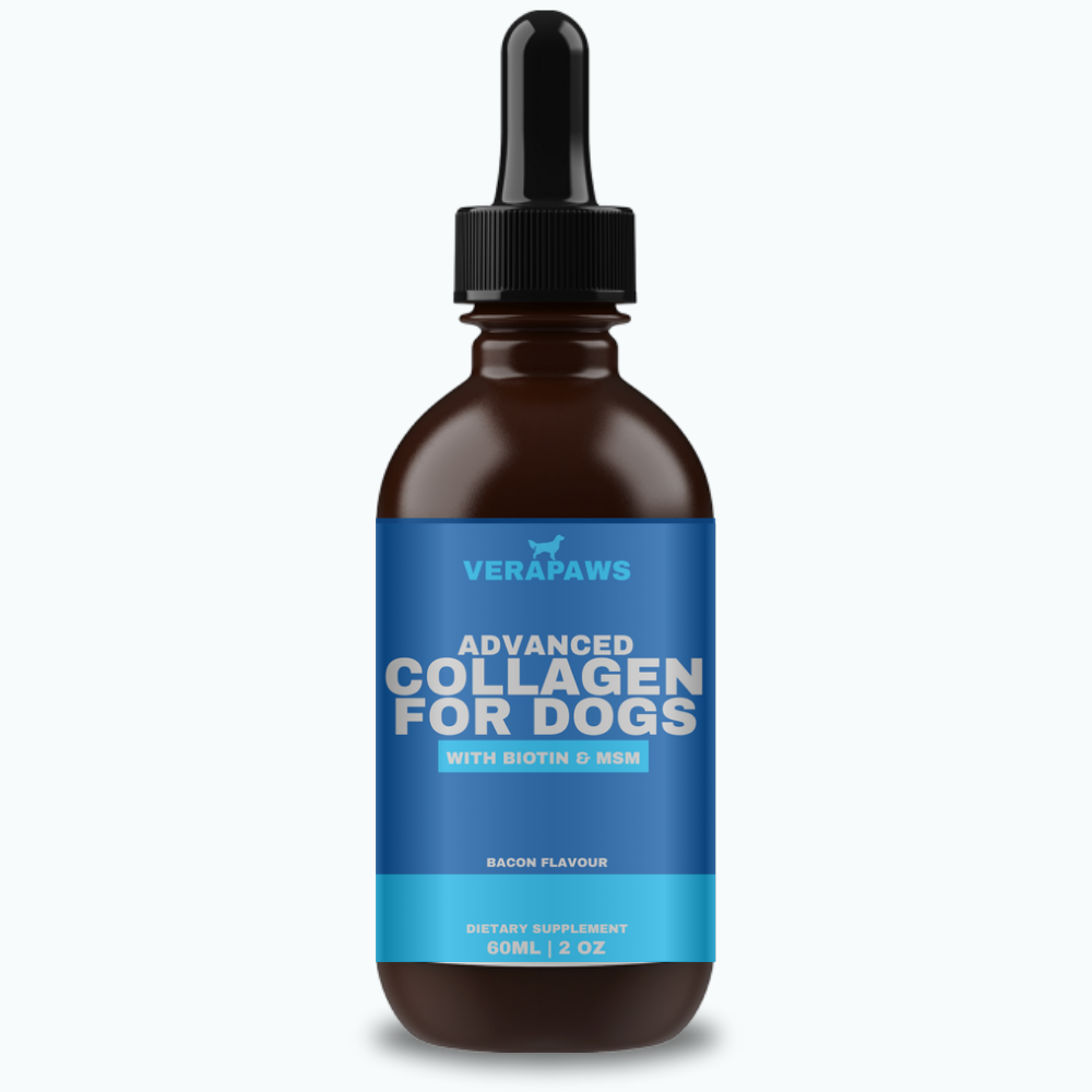 Advanced Collagen For Dogs liquid