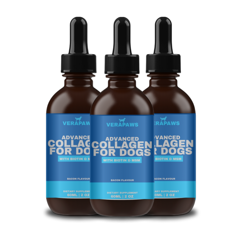 Collagen For Dogs - 3 Pack