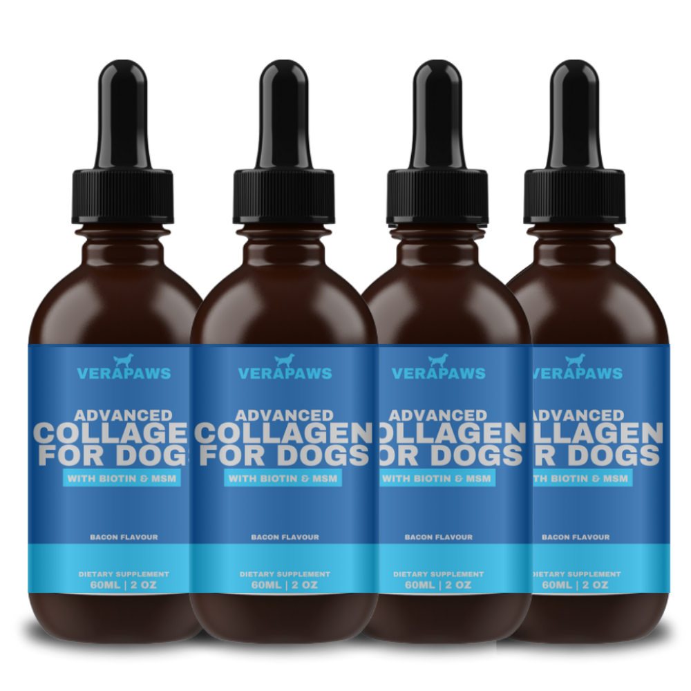 Collagen For Dogs - 4 Pack
