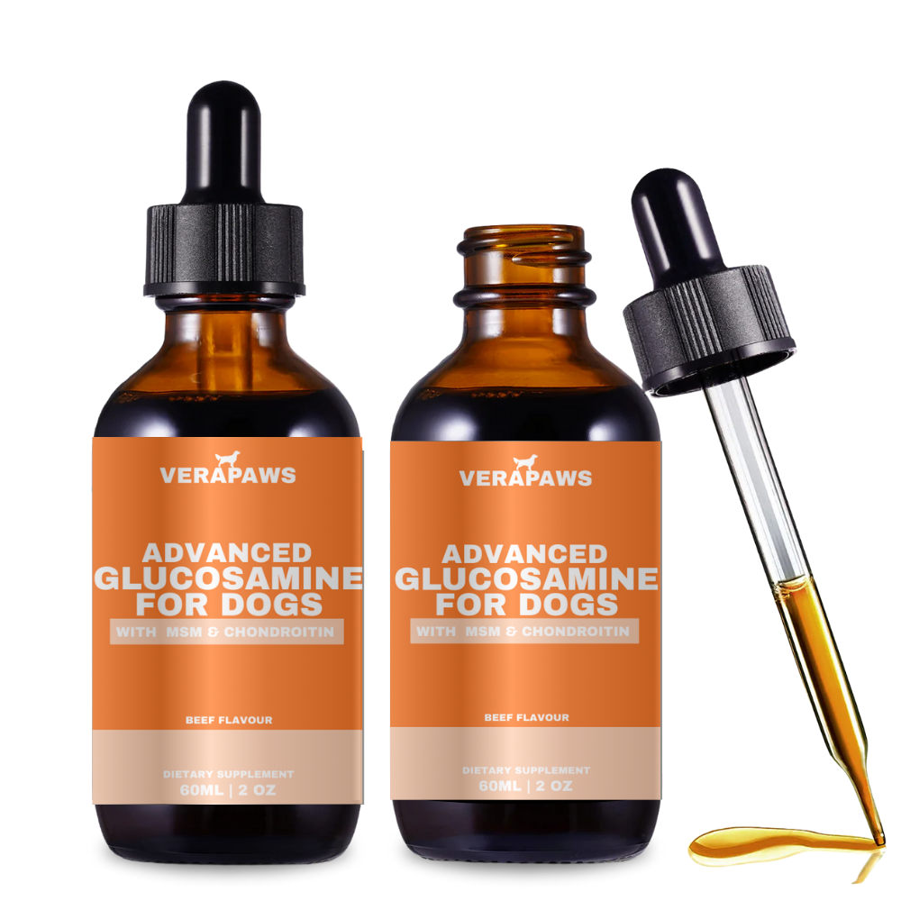 Glucosamine For Dogs