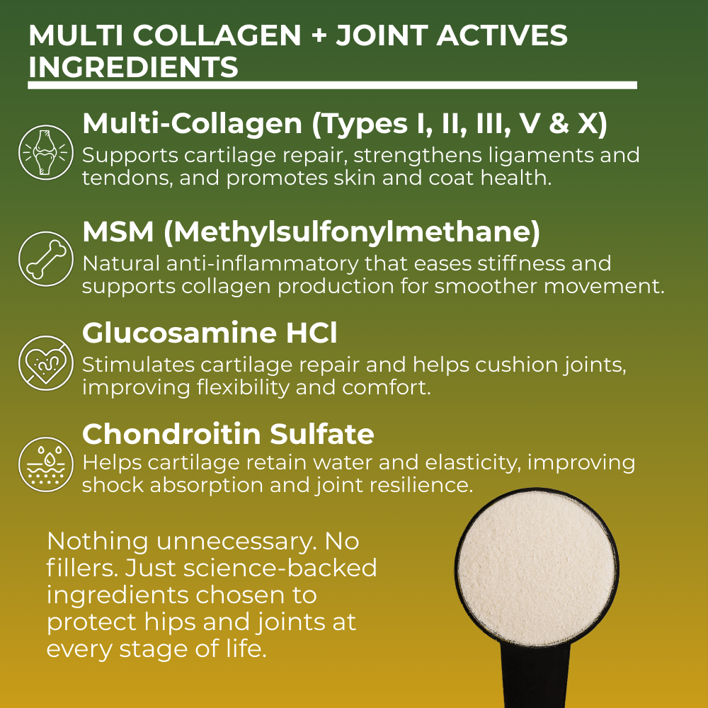 Hip & Joint Collagen For Dogs