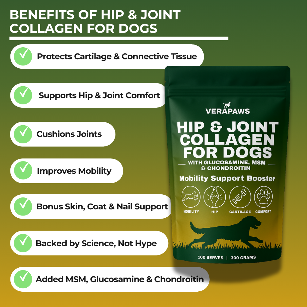 Verapaws Hip & Joint Collagen for dogs pouch with benefits listed on a green and yellow gradient background