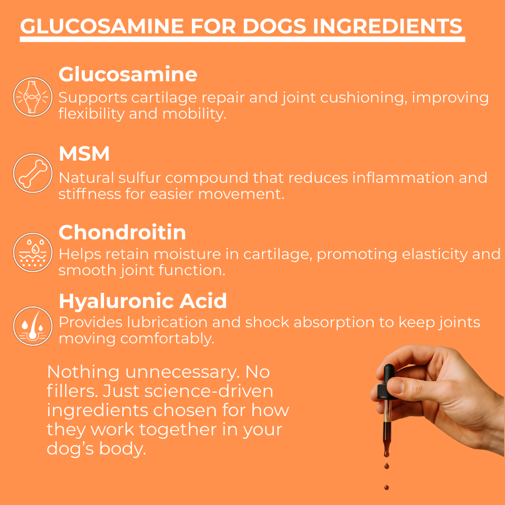 Vera-paws Glucosamine for Dogs ingredients with a hand holding a dropper on an orange background