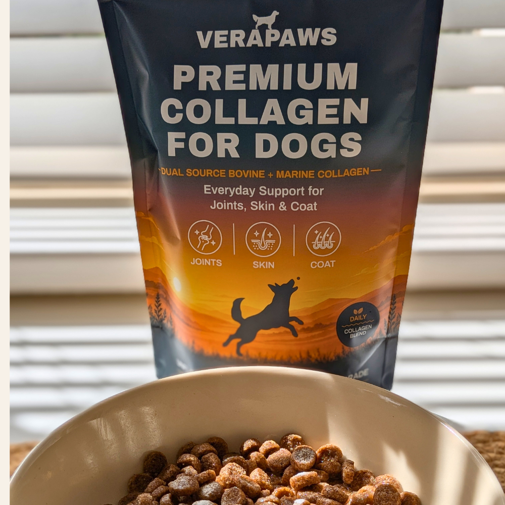 Premium Collagen For Dogs sprinkled into bowl