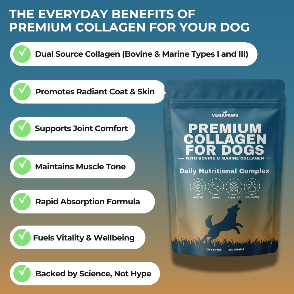 Benefits for Verapaws Premium Collagen for Dogs with a list of benefits and product packaging.