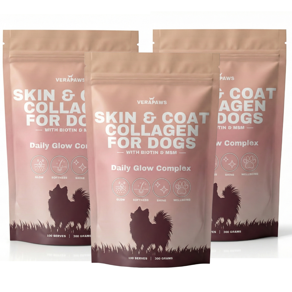 Three packages of VeraPaws Skin & Coat Collagen for Dogs on a white background