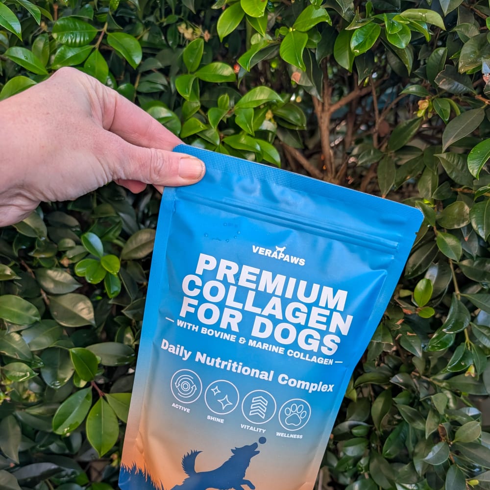 Premium Collagen For Dogs pouch held with a garden background