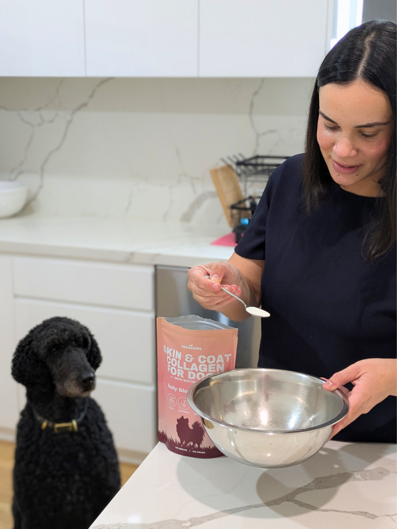Women with a spoon of VeraPaws Skin and Coat Collagen powder sprinkling it into her dog's food bowl. Dog is watching her do it.