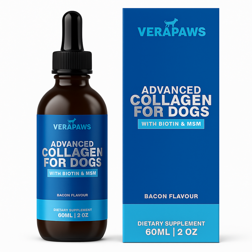 Collagen For Dogs