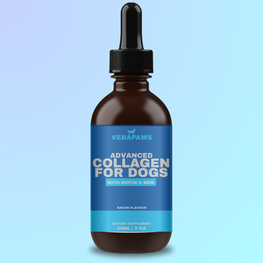 Bottle of Verapaws Advanced Collagen for Dogs on a light blue background