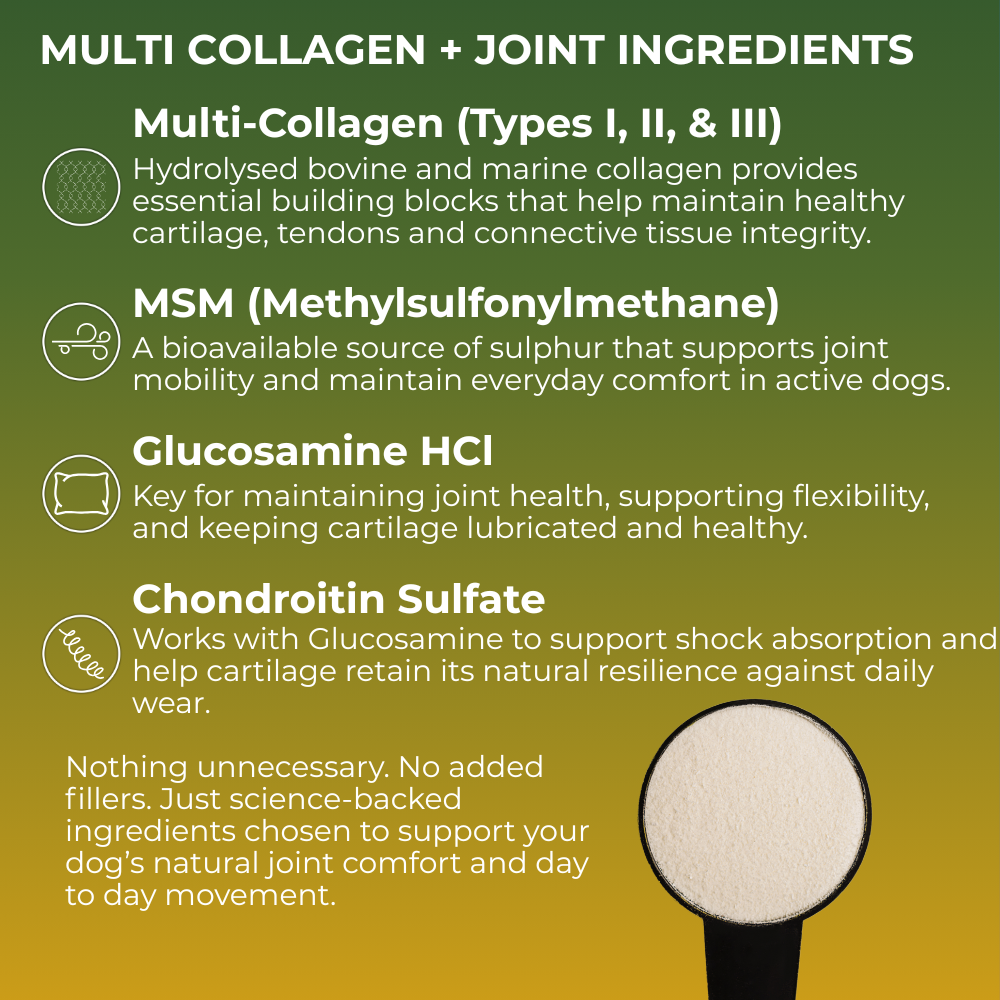 Product label detailing multi-collagen, MSM, glucosamine HCI, and chondroitin sulfate ingredients for joint health in dogs.