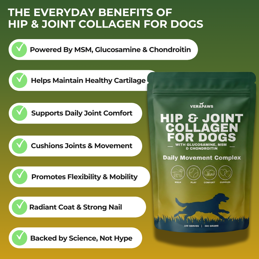 Verapaws Hip & Joint Collagen for dogs packaging with benefits listed on a green and yellow background