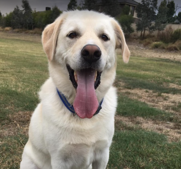 Lyn and Max, TAS